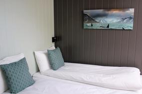 Hovedsoverom med to separate senger, Nattlys montert over sengen og bilde av spekkhoggere i Lofoten  