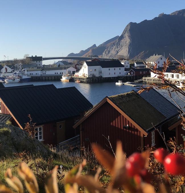 2 r&oslash;de rorbuer p&aring; Reinefjorden Sj&oslash;hus en en solrik h&oslash;stdag.